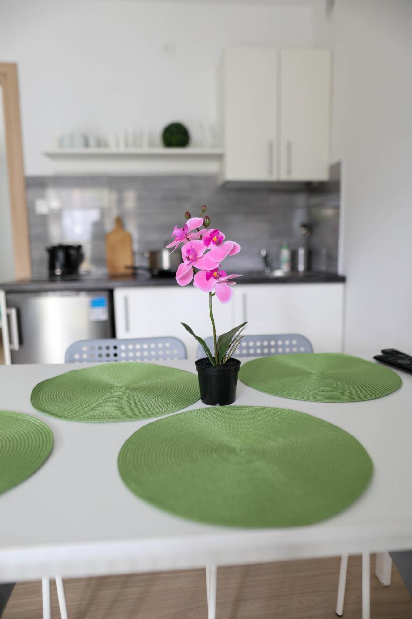 Apartamenty Poddabek- Basen Kryty, Sauna, Animacje Dla Dzieci , Malpi Gaj, Baseny Na Dachu Poddabie Luaran gambar